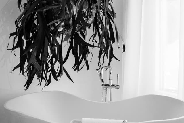 tarsus banyo tadilatı